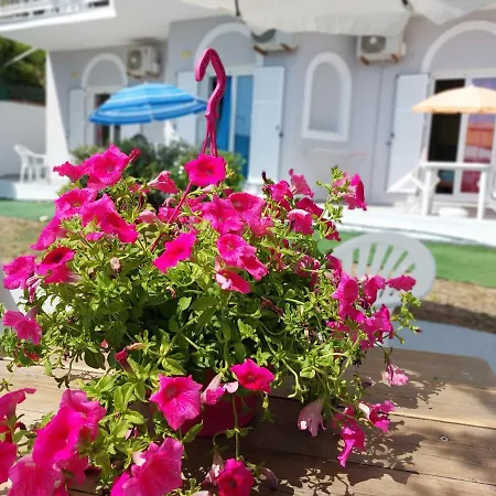 Leta * Agios Georgios (Corfu)