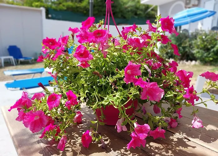 Lägenhet Leta Agios Georgios (Corfu)
